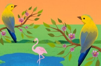 Gift Ideas for Bird Lovers